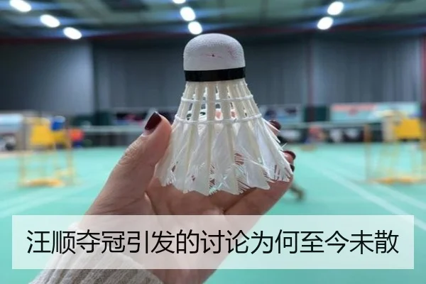汪顺夺冠引发的讨论为何至今未散
